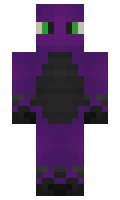worked minecraft skin