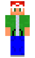 bowser2lux minecraft skin