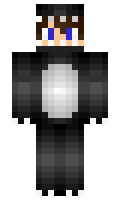 51c1275fa9ac2d minecraft skin