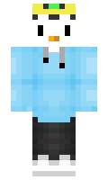 WarmerPenguin minecraft skin