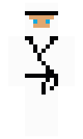 pocles minecraft skin