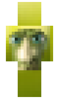 lpon minecraft skin