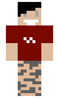 Apollo11015 minecraft skin