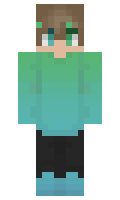 5238c80026b8f2 minecraft skin