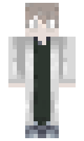 W4rry minecraft skin