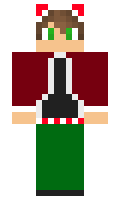 529eed595019cb minecraft skin