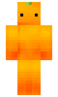 marcopolo minecraft skin
