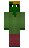 5336c48a1fe761 minecraft skin