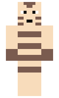 53371841798728 minecraft skin