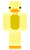 Reun minecraft skin