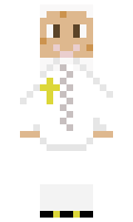 533f55e0aeccb8 minecraft skin