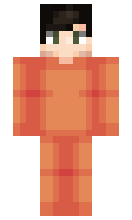 53622c9bc631c1 minecraft skin