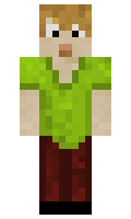 vectordiagram minecraft skin