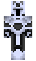 asw minecraft skin