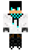 voolter minecraft skin