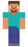 5558 minecraft skin