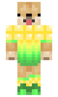 53a7571a874d45 minecraft skin