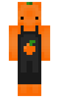 53bdd608290d1f minecraft skin