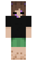 nakkotameow minecraft skin