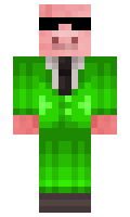 DolphinOfTheWest minecraft skin