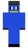 pongon18320 minecraft skin