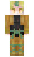 ZaWarudo minecraft skin