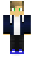 gogotrain minecraft skin