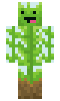 ITLRD minecraft skin