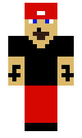 Flxflx minecraft skin
