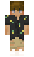Zapejo minecraft skin