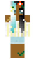 5478a71446d5ca minecraft skin