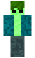 FliwyGamer minecraft skin