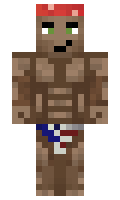 pogstar11 minecraft skin