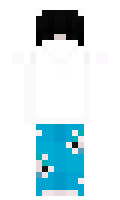 54c97bd4eb746d minecraft skin