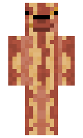 dictating minecraft skin