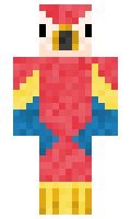 Densorteninja minecraft skin