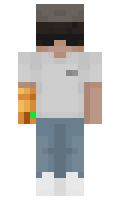 tugt minecraft skin