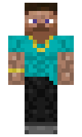 5508cccb7a5d6e minecraft skin