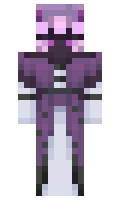 5517853b8f691e minecraft skin