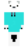 551f8b07e33321 minecraft skin