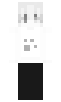 goose minecraft skin