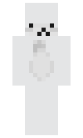 JunkRabbit minecraft skin