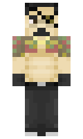 553dfd067ee1f5 minecraft skin