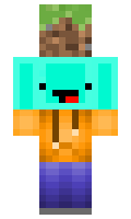 druckertinte1234 minecraft skin