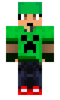 BoardCardBox minecraft skin