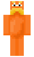 turtlerider245 minecraft skin