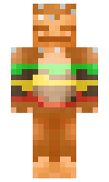 BDiggle minecraft skin