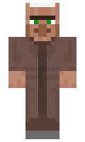 5575 minecraft skin