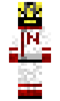 BinkoTheFool minecraft skin