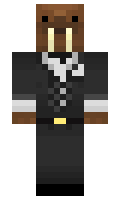 tirta minecraft skin